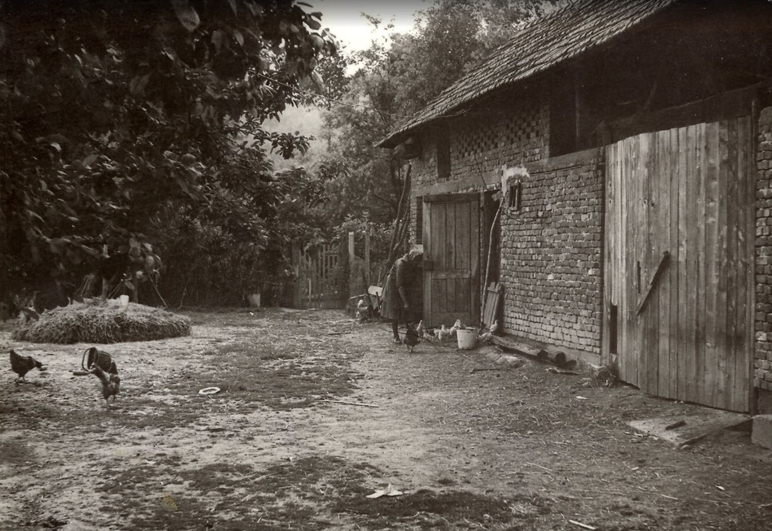 The old barn in a black-and-white photograph, chickens in the yard